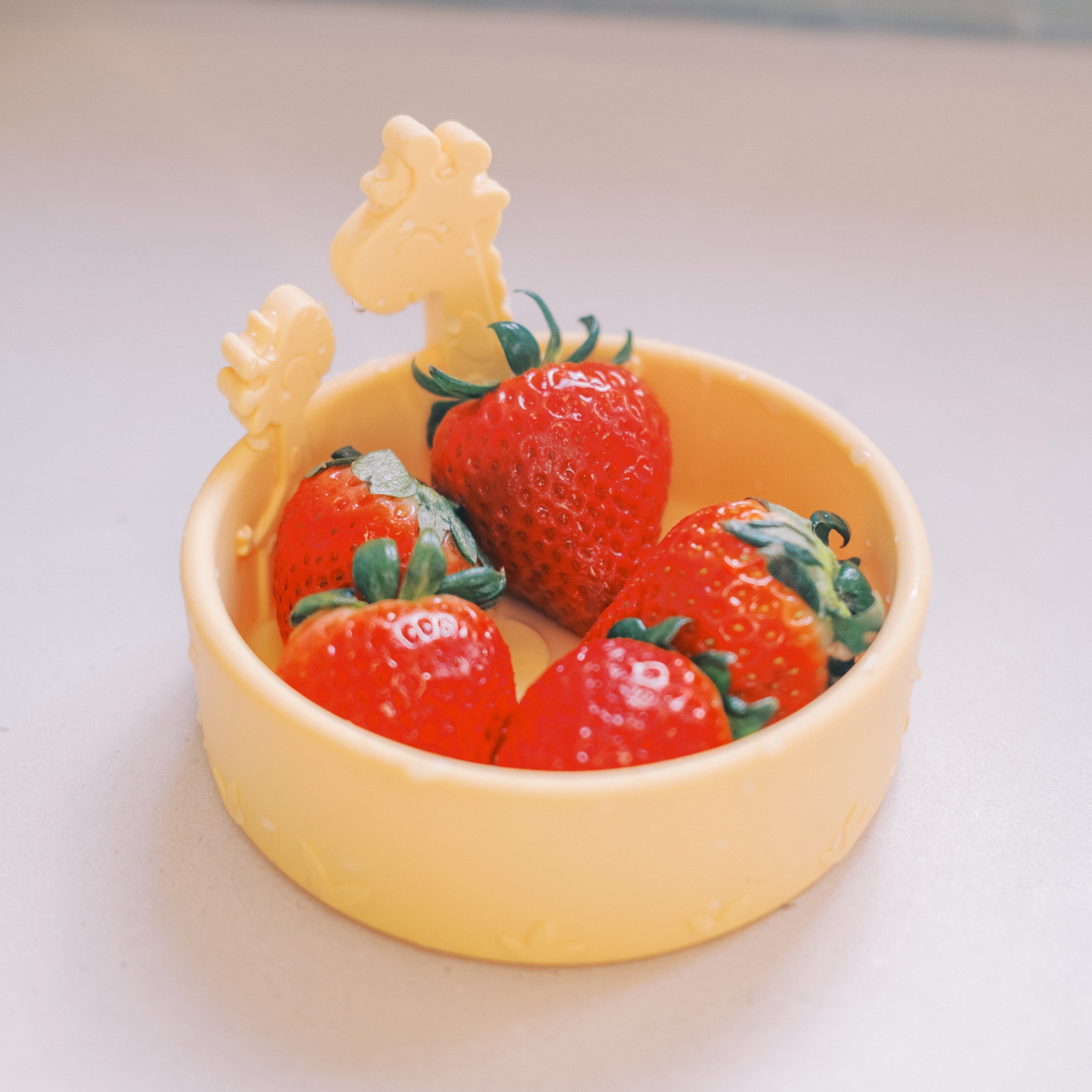 Animal Friends 6-Piece Dinnerware Set - Yellow Giraffe